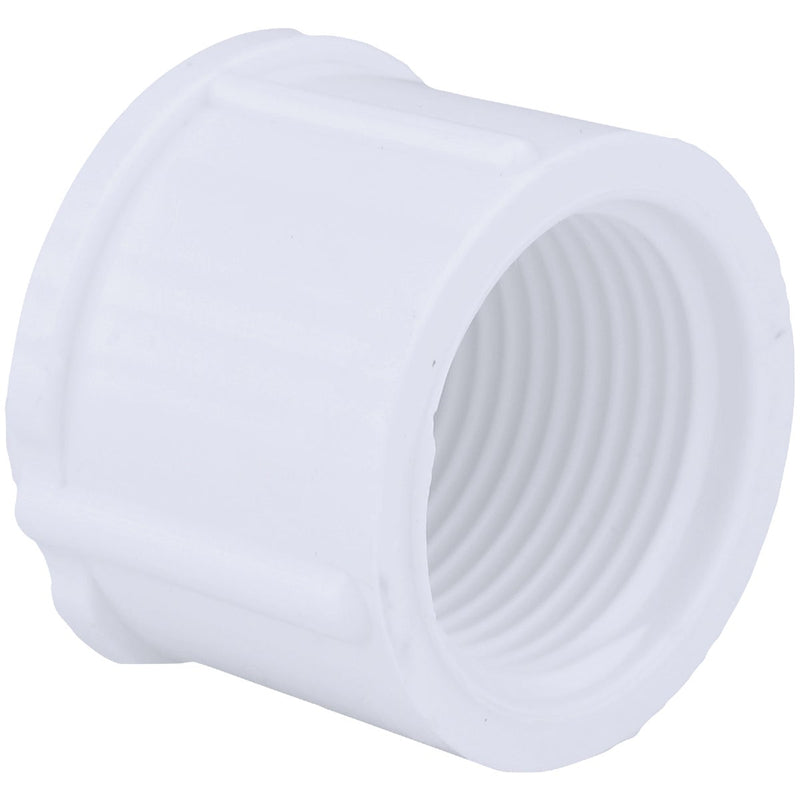 Charlotte Pipe 3/4 In. FIP Schedule 40 Threaded PVC Cap