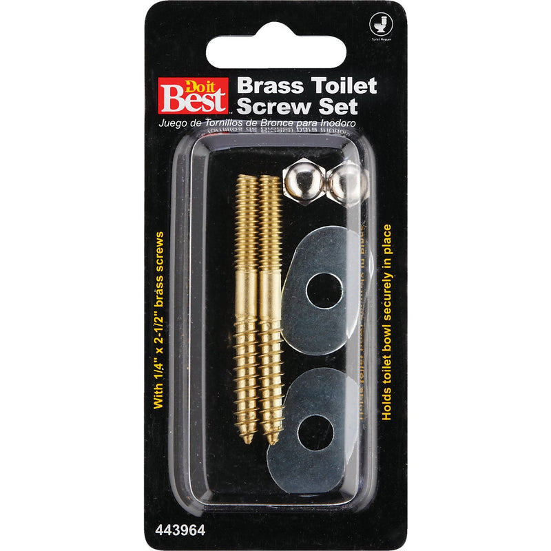 Do it Best 1/4 In. x 2-1/2 In. Solid Brass Toilet Screws