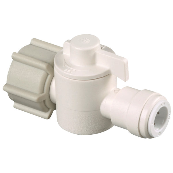 Watts 1/2 In. FPT X 1/4 In. CTS Plastic Push Valve
