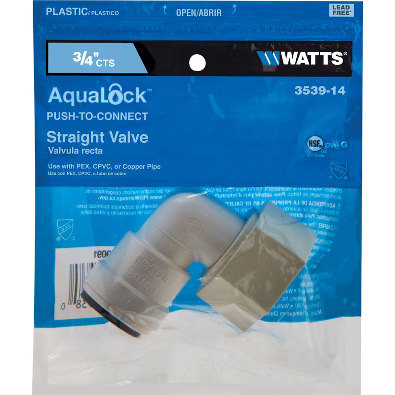 Watts 3/4 In. CTS X 3/4 In. QC Plastic Push Valve