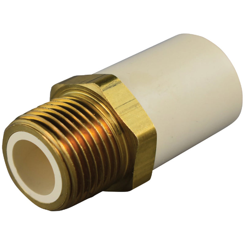 Charlotte Pipe 3/4 In. Slip x Brass MIP CPVC Transition Adapter