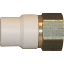 Charlotte Pipe 3/4 In. Slip x Brass FIP CPVC Transition Adapter