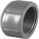 Charlotte Pipe 1/2 In. FIP Schedule 80 Threaded PVC Cap