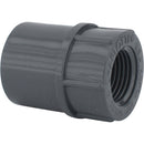 Charlotte Pipe 1/2 In. Schedule 80 Female PVC Adapter