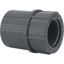 Charlotte Pipe 3/4 In. Schedule 80 Female PVC Adapter