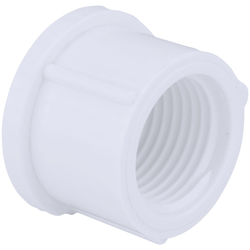 Charlotte Pipe 4 In. FIP Schedule 40 Threaded PVC Cap