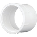 Charlotte Pipe 6 In. Hub x 6 In. FPT Schedule 40 DWV PVC Adapter
