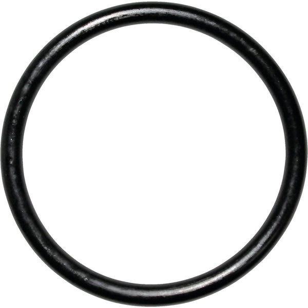 Danco #45 1-3/16 In. x 1-3/8 In. Buna-N O-Ring