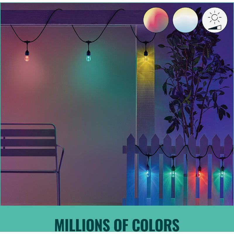 Wiz 12W Wi-Fi Color Smart String Light Set