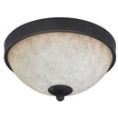 Home Impressions Warren 11 In. Rubbed Antique Bronze Incandescent Flush Mount Ceiling Light Fixture
