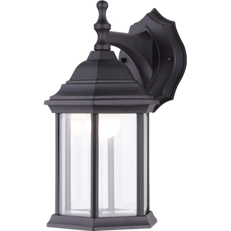 Canarm Black LED Outdoor Wall Fixture