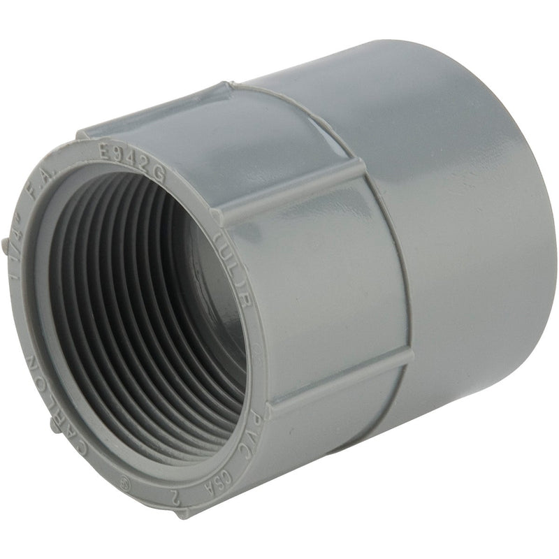 Carlon 1-1/4 In. Female Threaded & Socket PVC Conduit Female Adapter