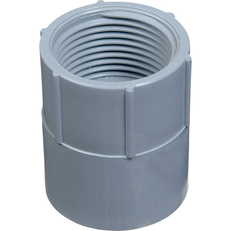 Carlon 1-1/2 In. Female Threaded & Socket PVC Conduit Female Adapter