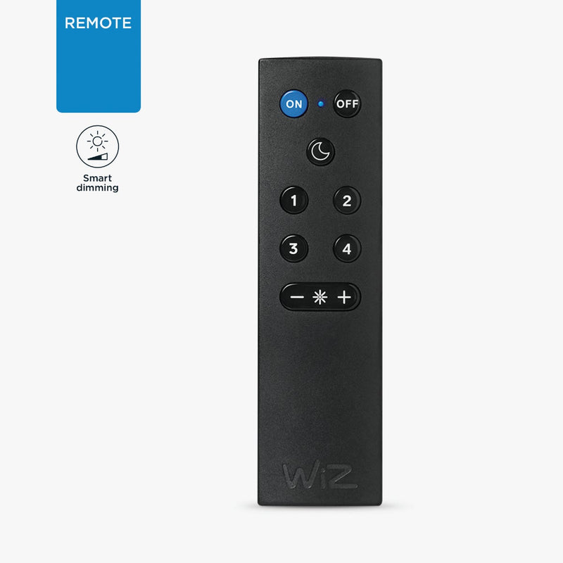 Wizmote Black Remote Control