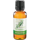BestAir Zen Essence 1 Oz. Eucalyptus Scented Essential Oil Humidifier Fragrance