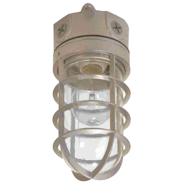 Halo Incandescent Vapor Tight Canopy Light Fixture