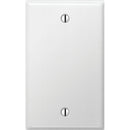 Amerelle 1-Gang Standard Stamped Steel Blank Wall Plate, Smooth White