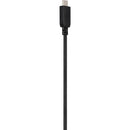 Blue Jet 3 Ft. Black Type-C USB to Type-C USB Charging & Sync Cable