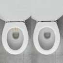 Whink 16 Oz. Rust Stain Remover