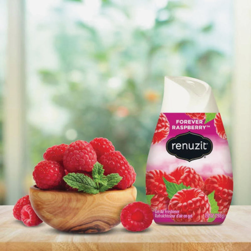 Renuzit 7 Oz. Raspberry Solid Air Freshener