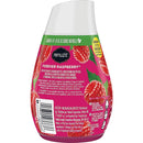 Renuzit 7 Oz. Raspberry Solid Air Freshener