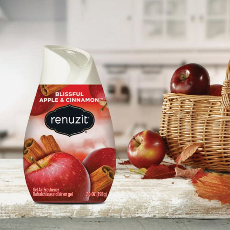 Renuzit 7 Oz. Apple Cinnamon Solid Air Freshener