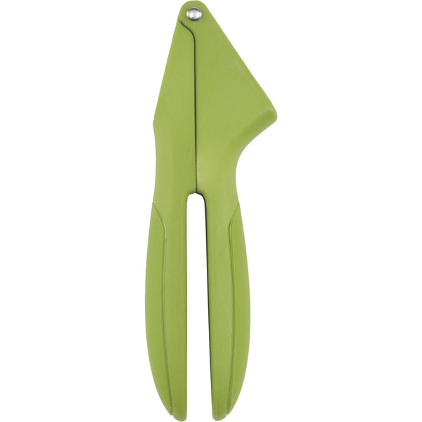 Goodcook Garlic Press