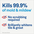 Clorox 81 Oz. Concentrated Germicidal Bleach