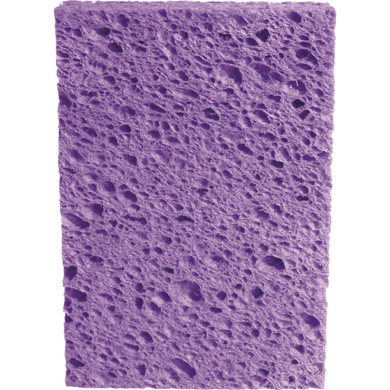 Scotch-Brite Ocelo Sponge , Assorted Colors, Large