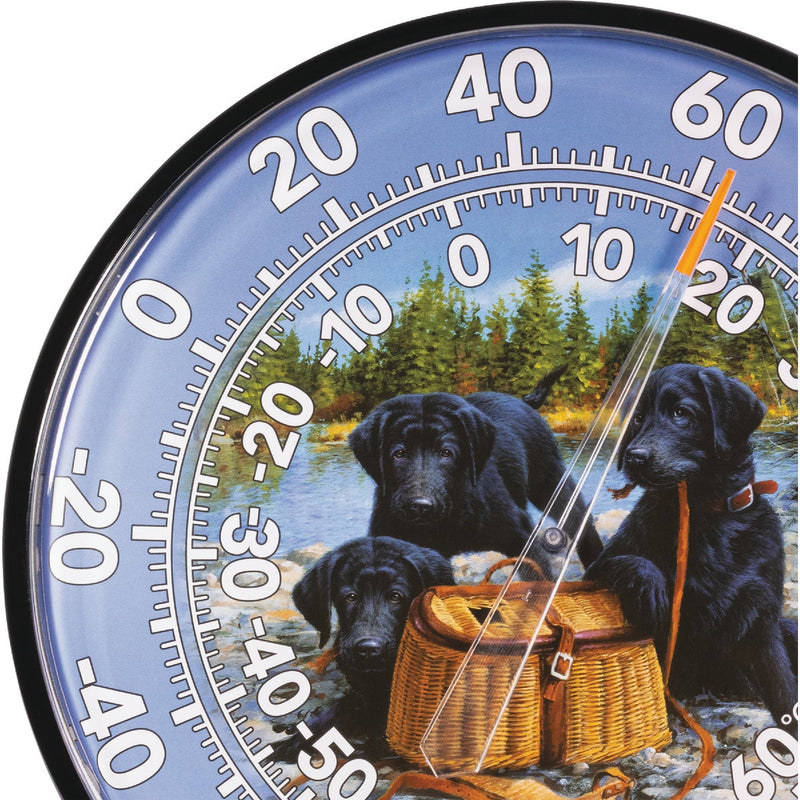 Acurite 12" Fahrenheit -60 To 140 Outdoor Wall Thermometer