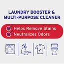 20 Mule-Team 65 Oz. Borax Laundry Booster & Cleaner