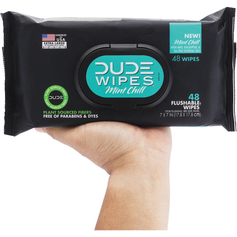 Dude Wipes Mint Chill Flushable Wipes (3-Pack)