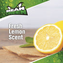 Mean Green 32 Oz. Anti-Bacterial Cleaner