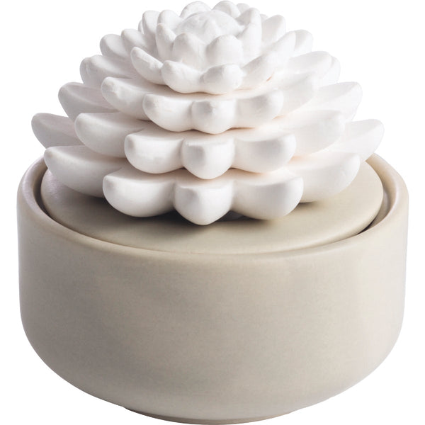 Candle Warmers Airome Porcelain Essential Oil Diffuser - Succulent