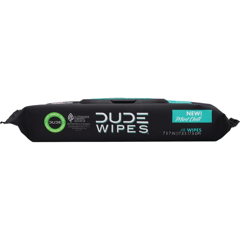 Dude Wipes Mint Chill Flushable Wipes (48-Count)