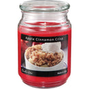 Candle-Lite Everyday 18 Oz. Apple Cinnamon Crisp Jar Candle