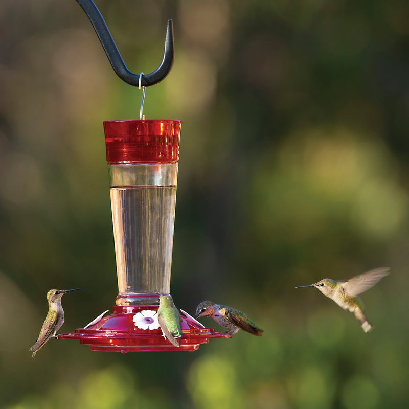More Birds Ruby 10 Oz. Glass Hummingbird Feeder