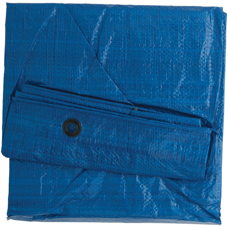 Do it Best Blue Woven 6 Ft. x 8 Ft. Medium Duty Poly Tarp