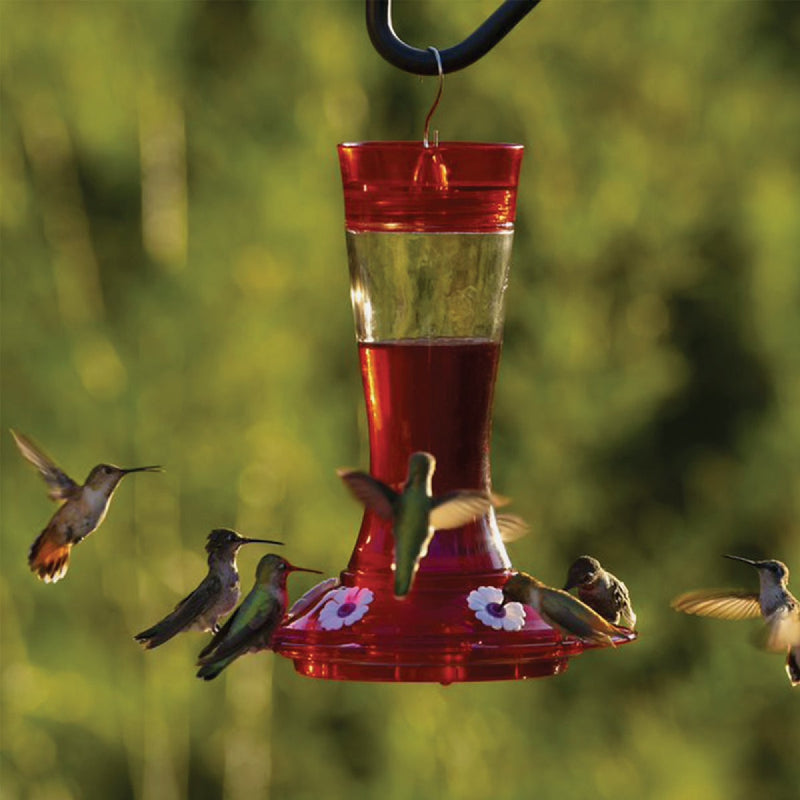 More Birds Garnet 20 Oz. Glass Hummingbird Feeder