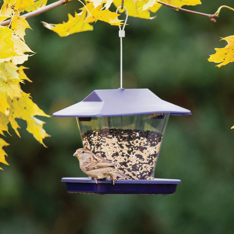 More Birds Plastic 1.7 Lb. Capacity Ranch Hopper Bird Feeder