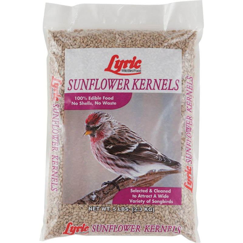 Lyric 5 Lb. Sunflower Kernels