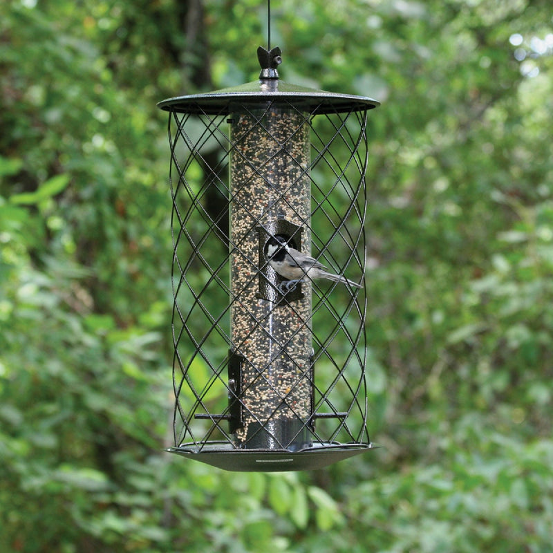 Perky-Pet The Preserve Black 3 Lb. Capacity Wild Bird Feeder