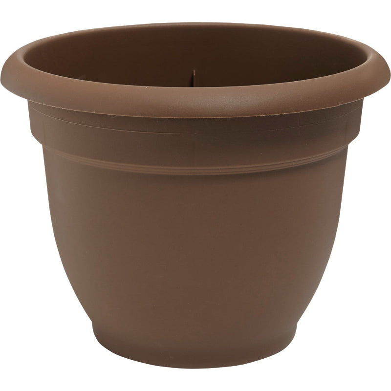 Bloem Ariana 6.5 In. H. x 6 In. Dia. Plastic Self Watering Chocolate Planter