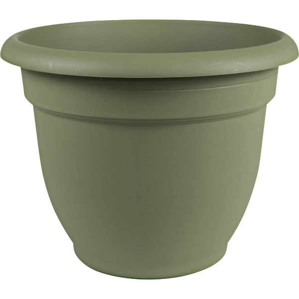 Bloem Ariana 6.5 In. H. x 6 In. Dia. Plastic Self Watering Thyme Green Planter