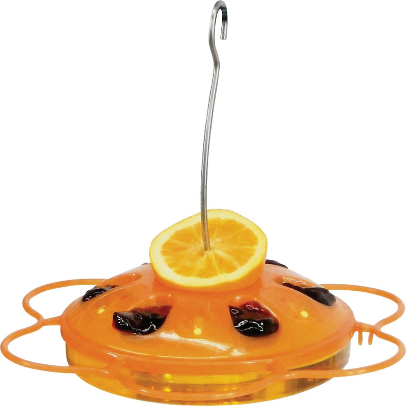 More Birds 14 Oz. Plastic Saucer Oriole Feeder