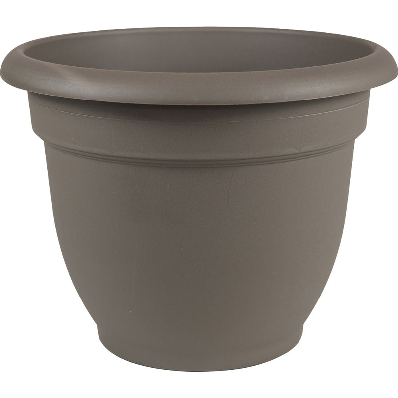 Bloem Ariana 8.8 In. H x 8 In. Dia. Plastic Self Watering Charcoal Planter