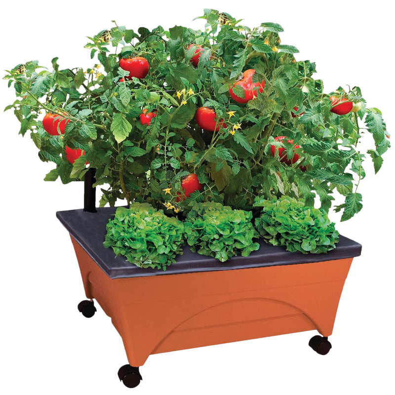 City Pickers 24 In. W. x 20 In. H. x 24 In. L. Terra Cotta Resin Portable Patio Garden Kit