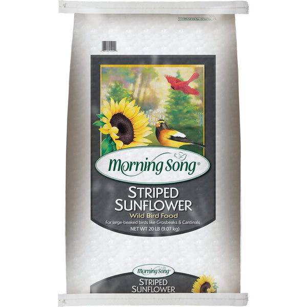 Morning Song 20 Lb. Striped Sunflower Wild Bird Seed