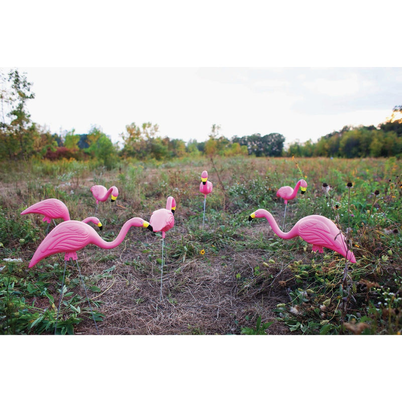 Bloem Pink Flamingo Lawn Ornament (2-Pack)
