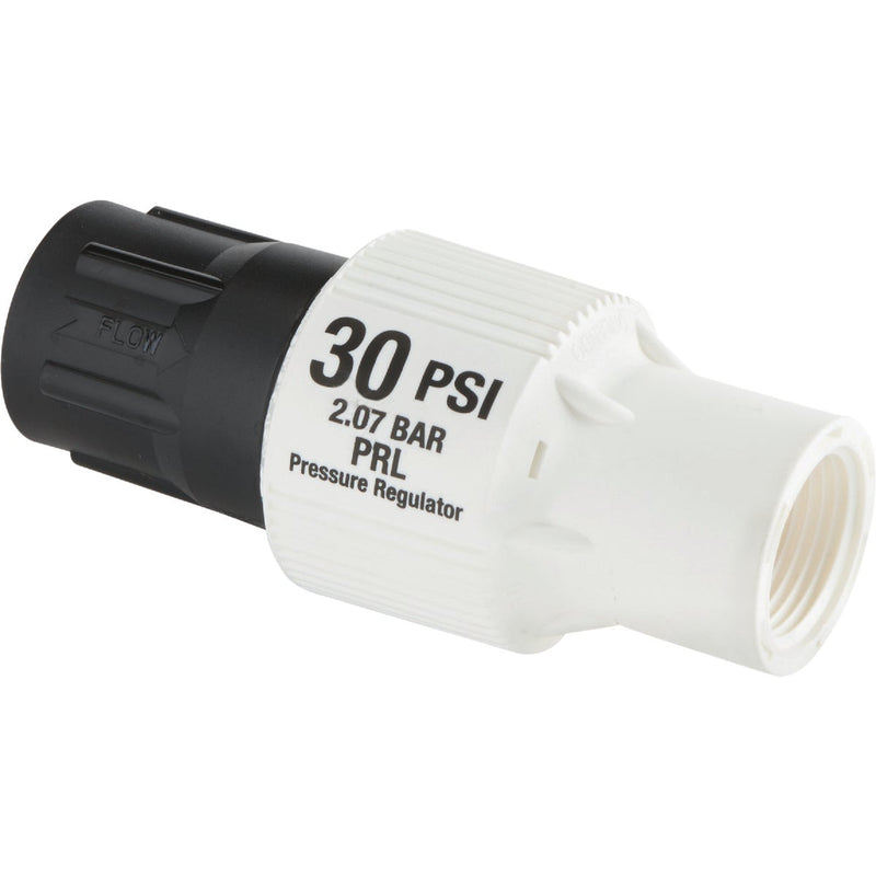 Raindrip 30 PSI 3/4 In. Pipe Thread Professional Pressure Regulator